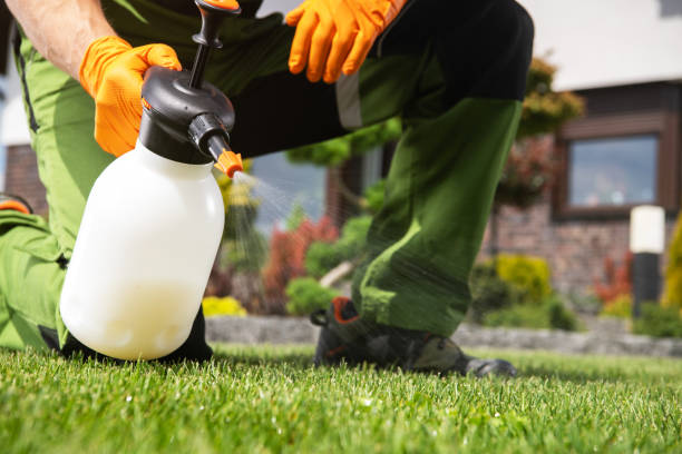 Trusted Rayne, LA Pest Control Experts