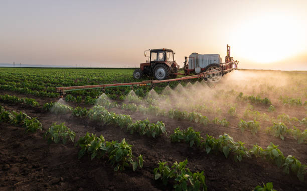 Best Best Pest Control Companies  in Rayne, LA