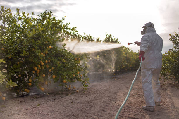 Flea Control Services in Rayne, LA