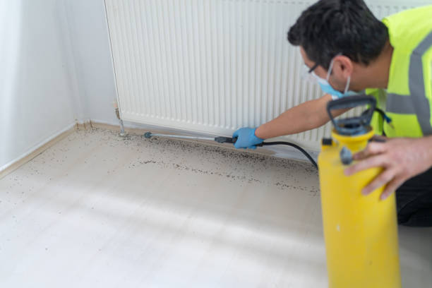 Best Exterminator Services  in Rayne, LA