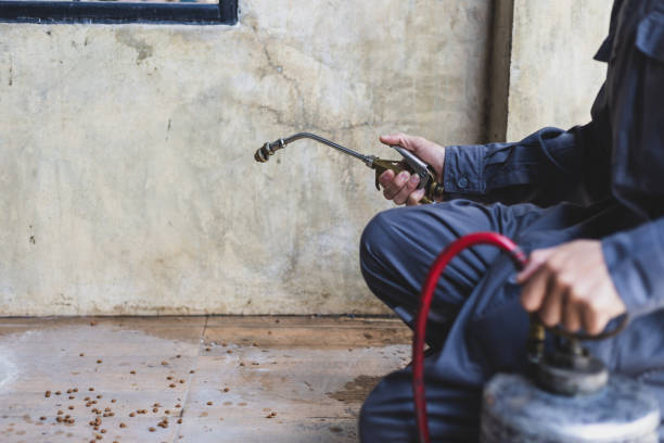 Best Mosquito Control Services  in Rayne, LA